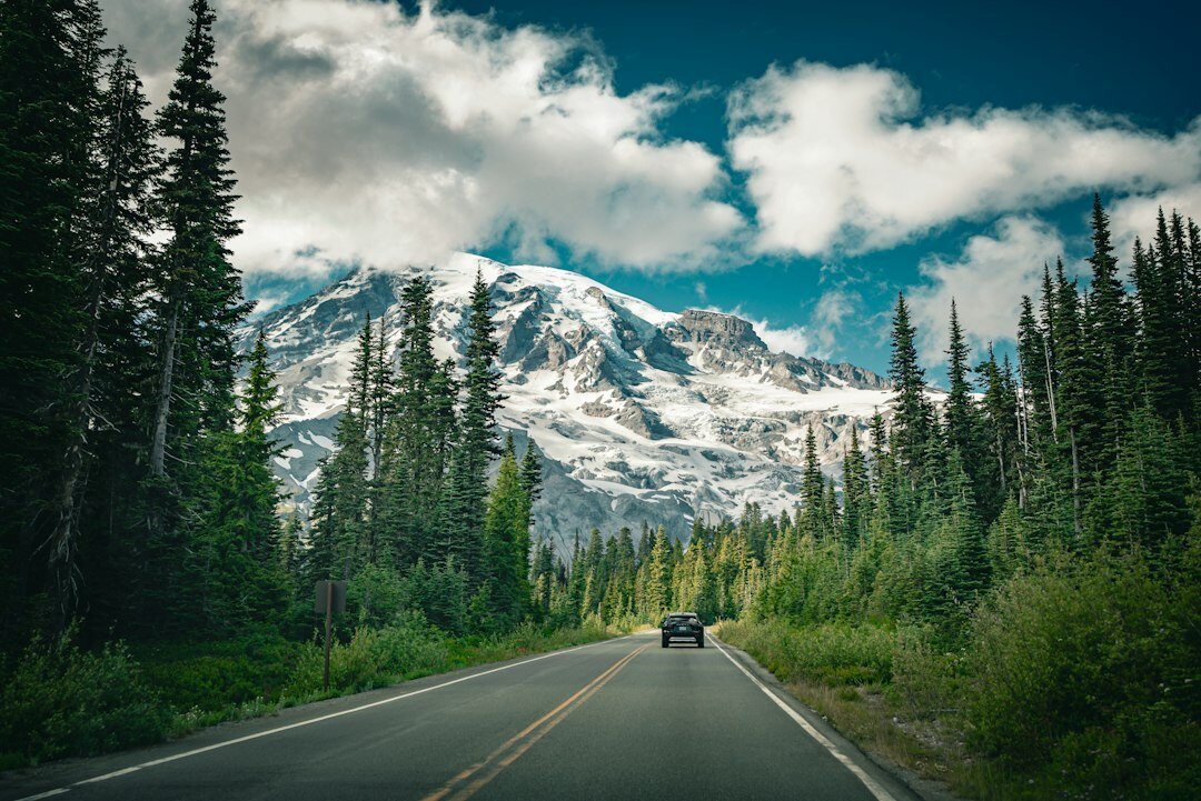 driver enjoying scenic mountain road